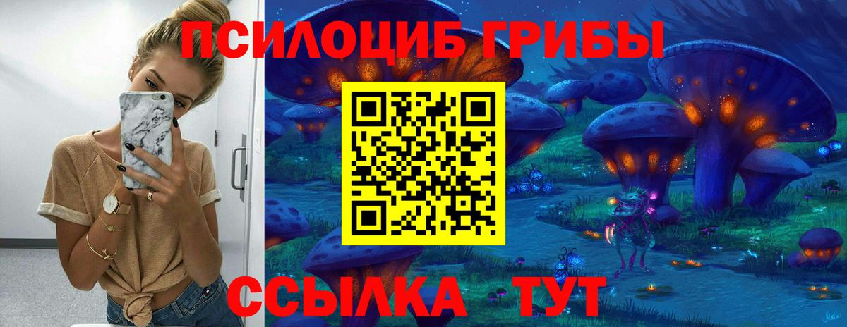 Галлюциногенные грибы Psilocybe Алейск