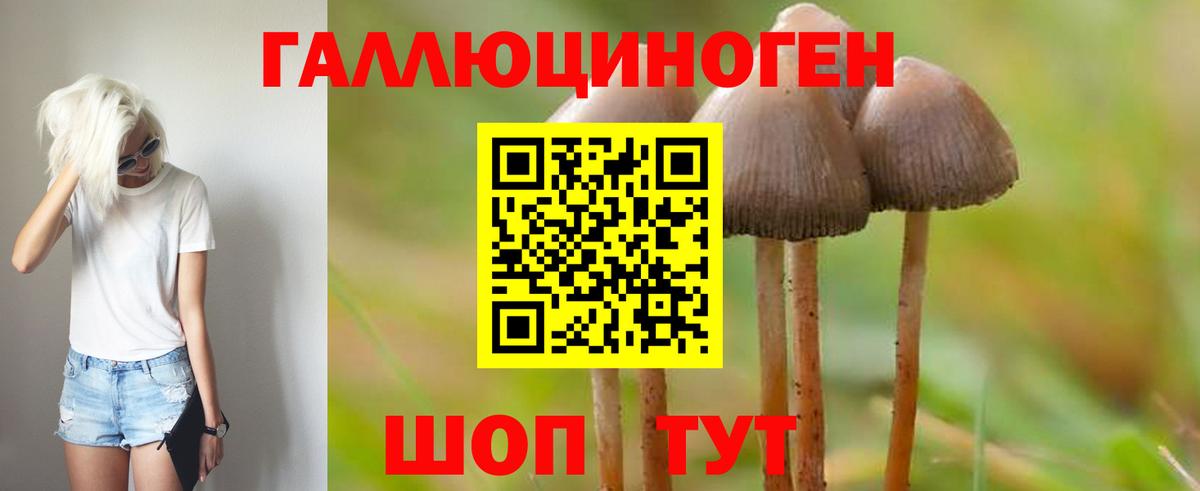Алейск  Псилоцибиновые грибы MAGIC MUSHROOMS  Вход с VPN 